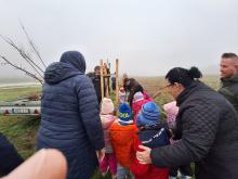 országfásítás 2025