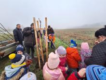 országfásítás 2025