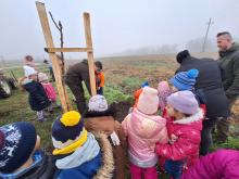 országfásítás 2025