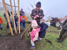 országfásítás 2025