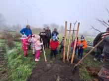 országfásítás 2025