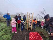 országfásítás 2025