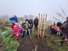 országfásítás 2025