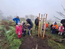 országfásítás 2025