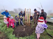 országfásítás 2025