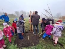 országfásítás 2025