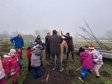 országfásítás 2025