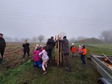 országfásítás 2025