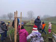 országfásítás 2025