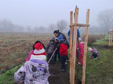 országfásítás 2025