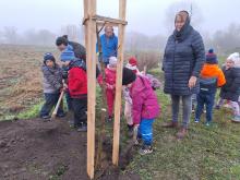 országfásítás 2025