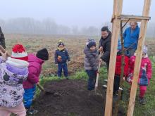 országfásítás 2025