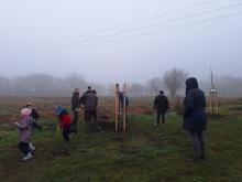 országfásítás 2025