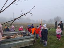 országfásítás 2025