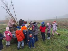 országfásítás 2025