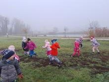 országfásítás 2025