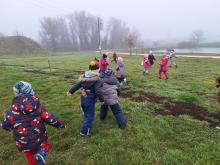 országfásítás 2025