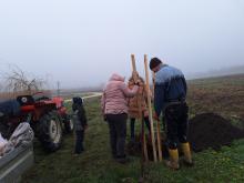 országfásítás 2025