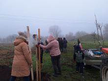 országfásítás 2025