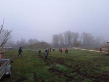 országfásítás 2025