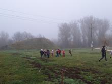 országfásítás 2025