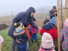 országfásítás 2025