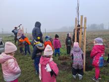 országfásítás 2025