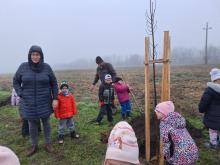 országfásítás 2025