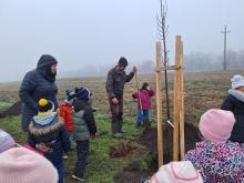 országfásítás 2025