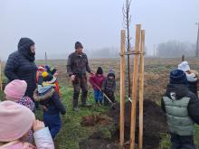 országfásítás 2025