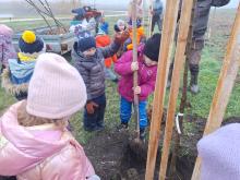 országfásítás 2025