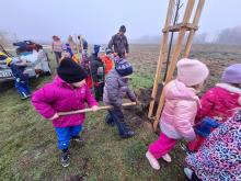 országfásítás 2025