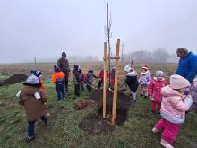 országfásítás 2025