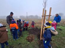 országfásítás 2025