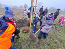 országfásítás 2025