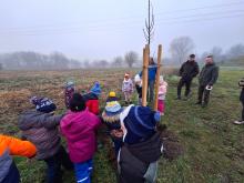 országfásítás 2025