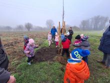 országfásítás 2025