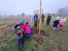 országfásítás 2025