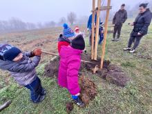 országfásítás 2025