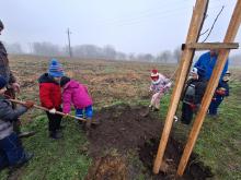 országfásítás 2025