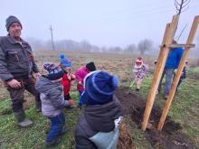 országfásítás 2025