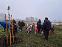 országfásítás 2025