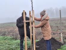 országfásítás 2025