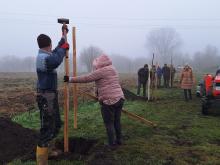 országfásítás 2025