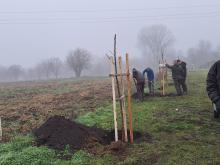 országfásítás 2025