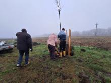 országfásítás 2025