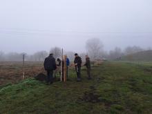 országfásítás 2025