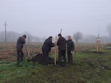 országfásítás 2025