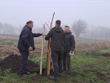 országfásítás 2025