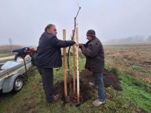 országfásítás 2025